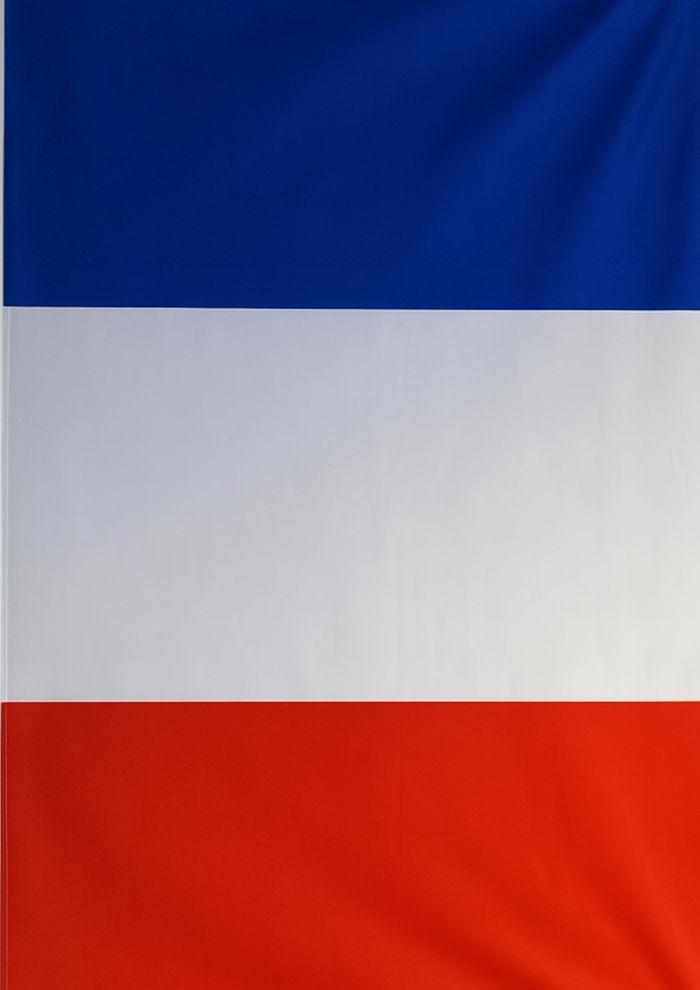 Pack Drapeaux France 1 Grand Format + 2 Mini Drapeaux à Main - photo numéro 10