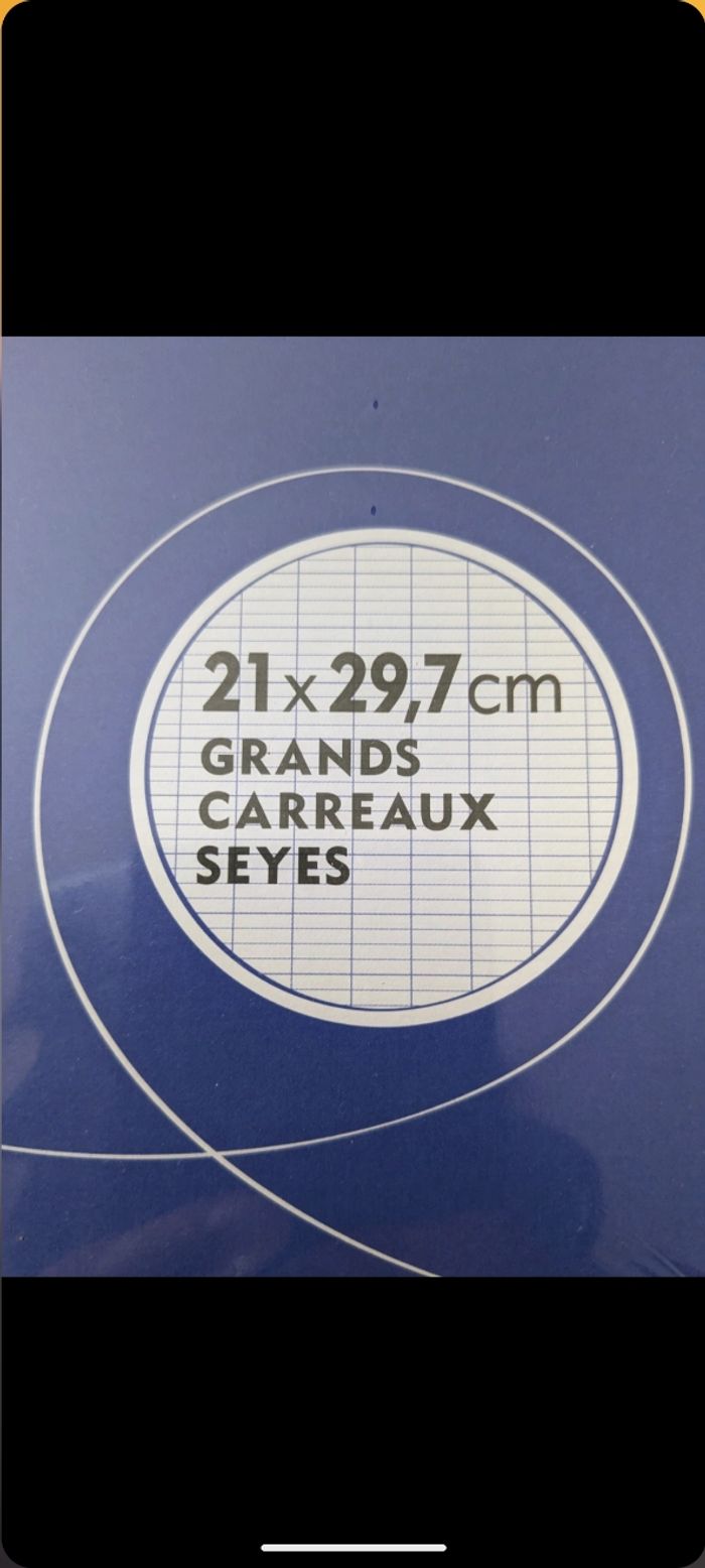 Lot de 400 copies doubles perforées grands carreaux. Taille : 21 x29,7 cm - photo numéro 3
