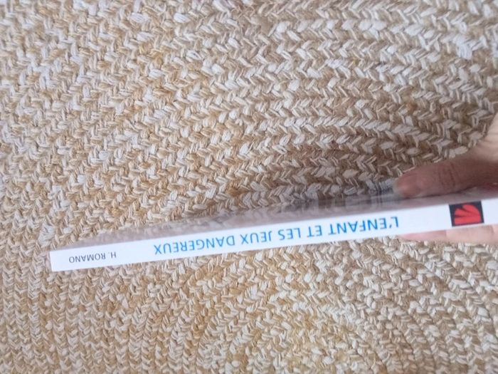 L'enfant et les jeux dangereux - photo numéro 4