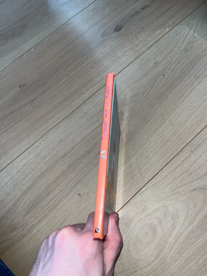 Livre pour enfants tchoupi veut un chaton - photo numéro 2