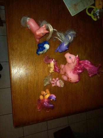 Lots poney
