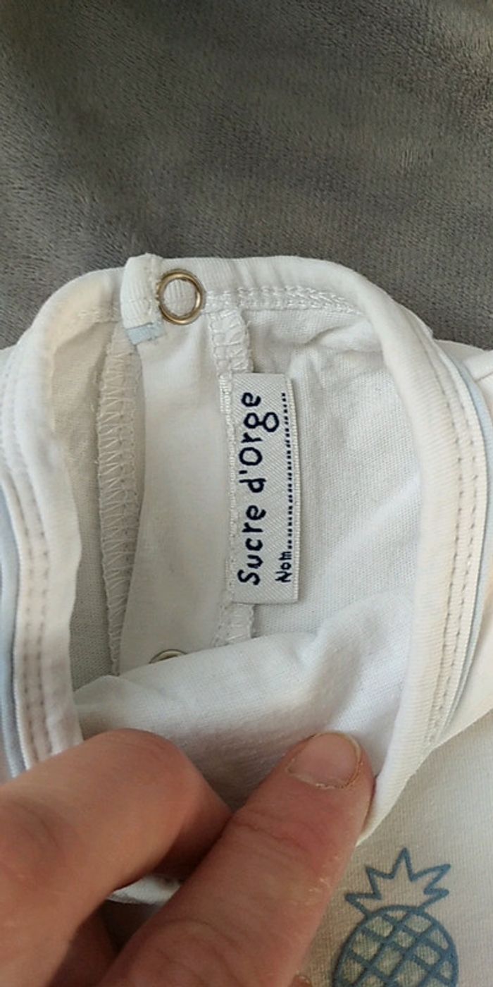 Tee shirt manches longues doublé Garçon 9 mois Sucre d'orge "Le petit safari" 100% coton - photo numéro 7