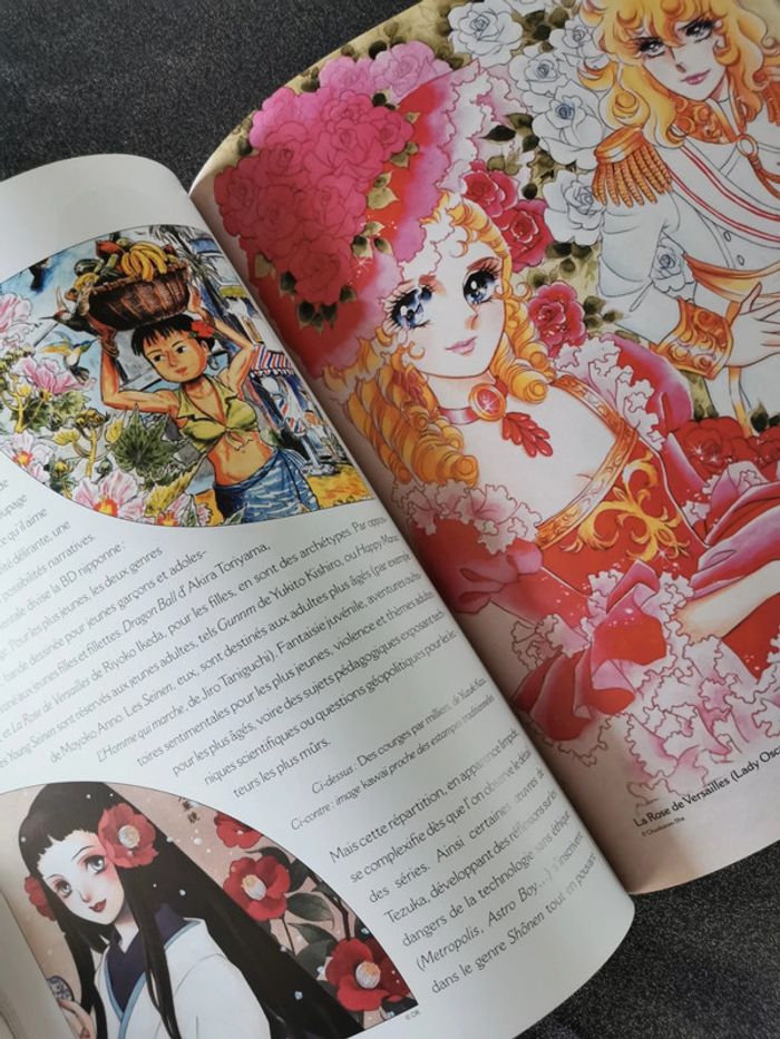 Culture manga - photo numéro 3