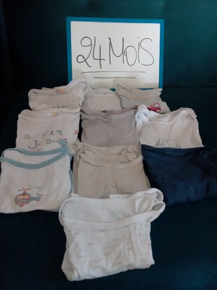 Lot 10 body manches courtes 24mois