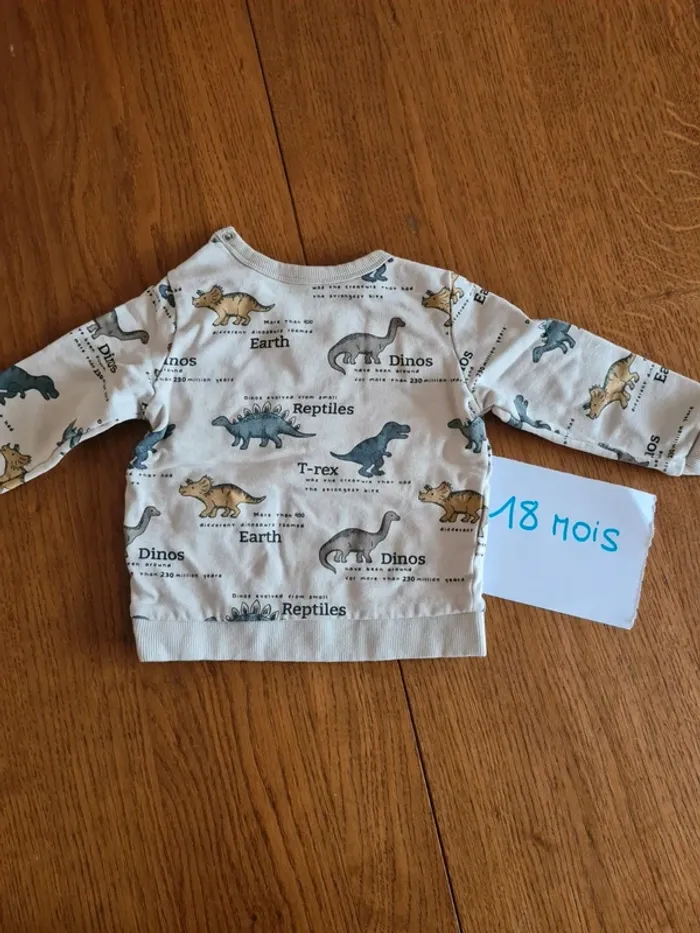 Pull dinosaure - photo numéro 2