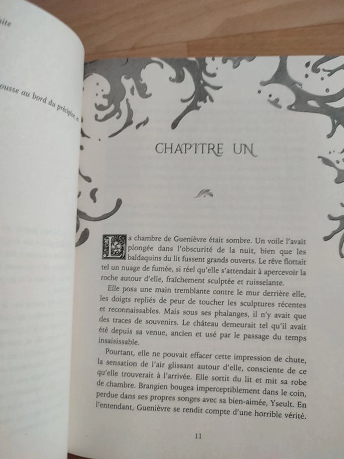 Lot livre l'ascension de camelot 1 et 2 - photo numéro 8