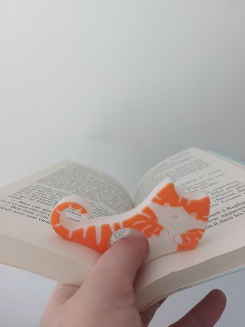 Bague de lecture chat