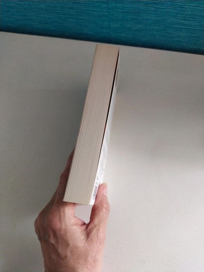 Lundi Mélancolie de Nicci French - photo numéro 5