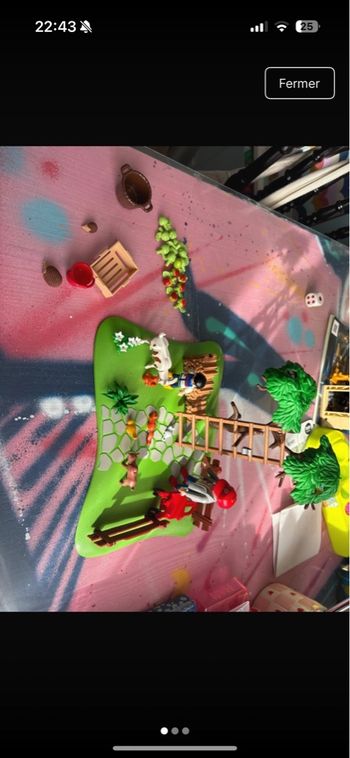 Playmobil 4146 Cuillettes des pommes