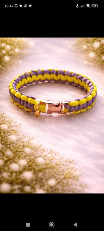 Colliers paracord pour chiens