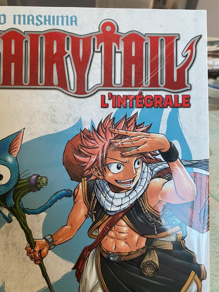 Fairy Tail grand format - photo numéro 2