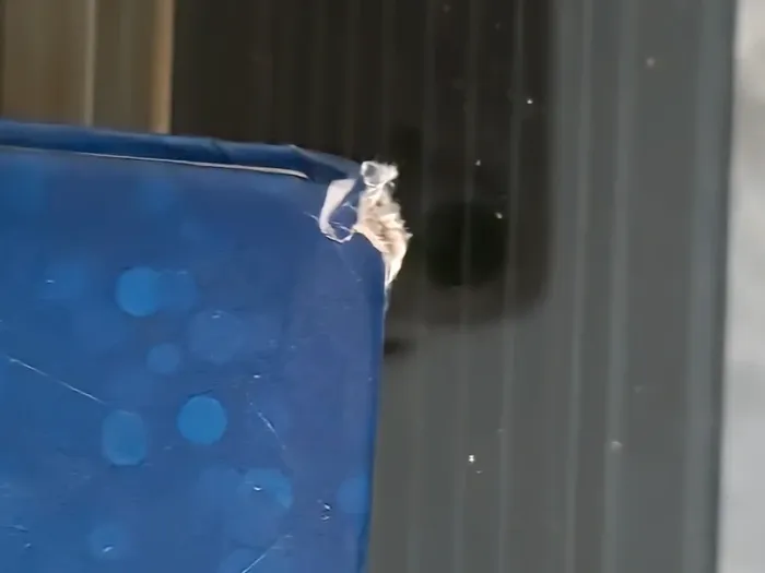 Livre disney vice versa - photo numéro 3