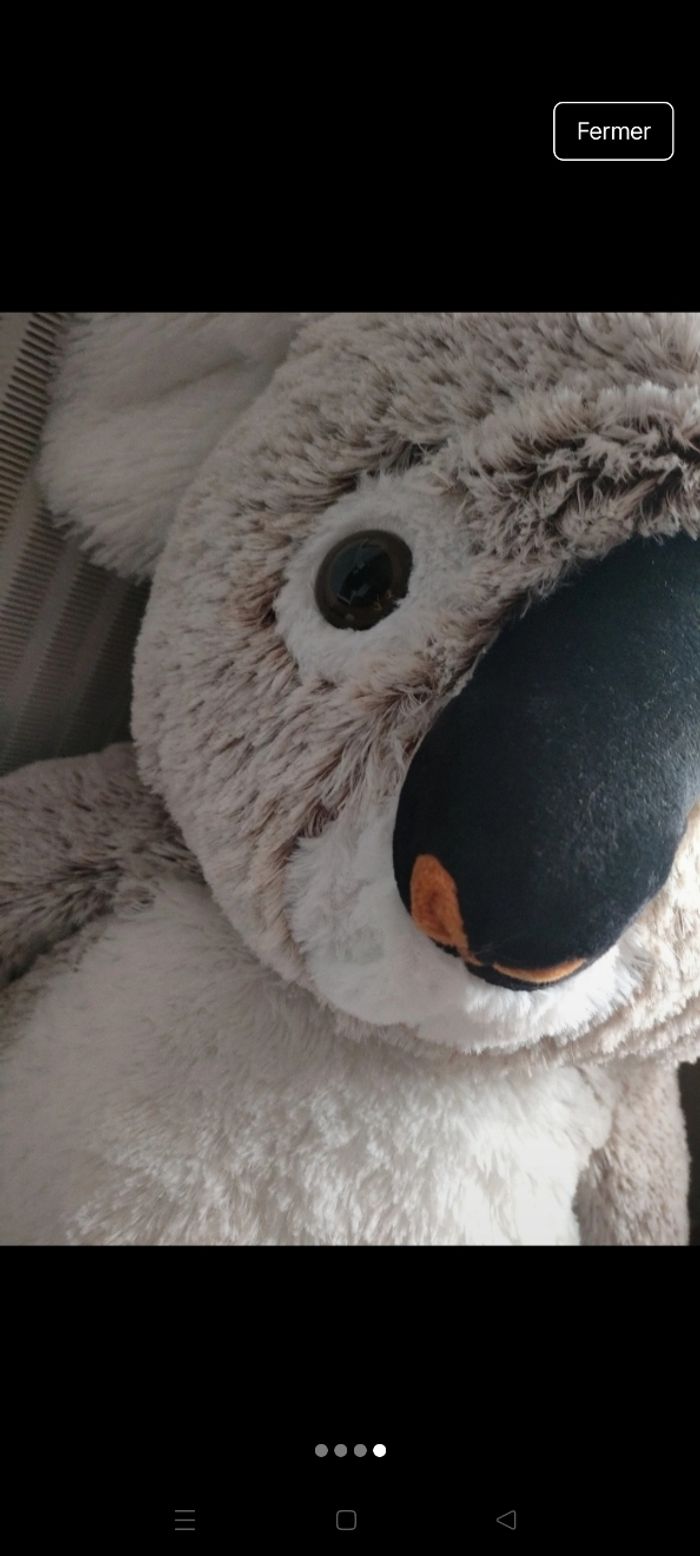Koala XXL