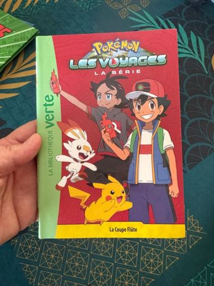 Livre Pokémon - photo numéro 4