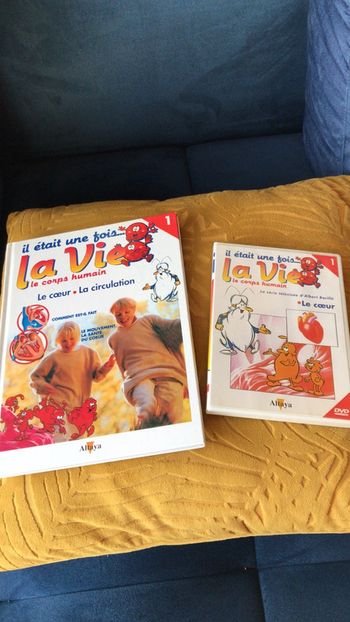 Collection il était une fois la vie le corps humain