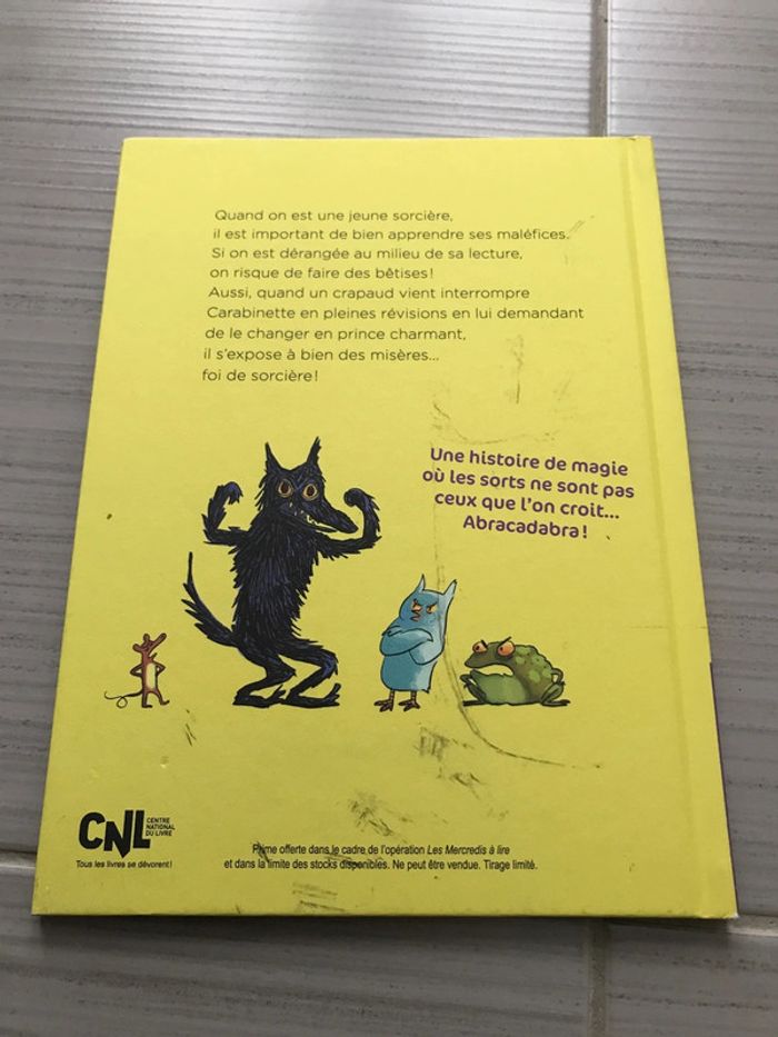 Livre mercredi à lire carabinette - photo numéro 2