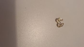 Boucle neuve pour le haut de l'oreille