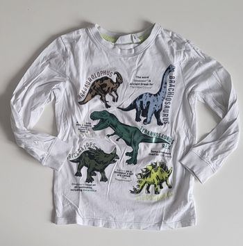 Haut manches longues Dinosaures