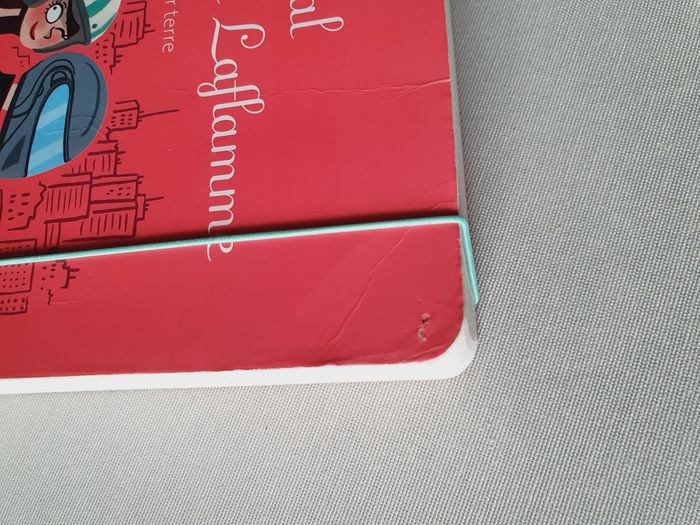Livre Aurélie Laflamme T8 - photo numéro 9