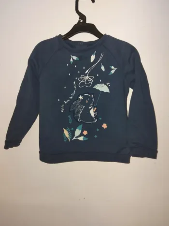 Pull bleu
