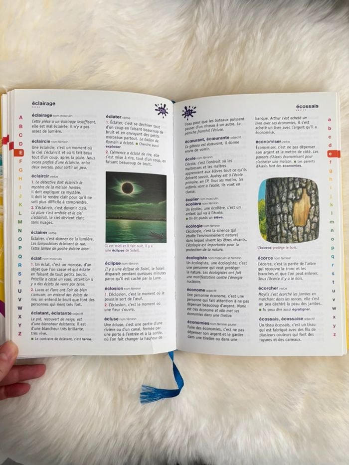 Le Robert Benjamin - photo numéro 2