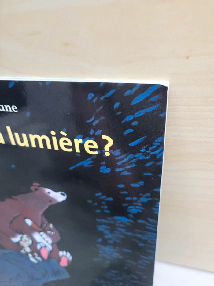 🌺 Livre (école des loisirs) : Où est la lumière ? - photo numéro 6