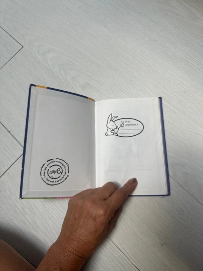 Livre basse voisine est une sorcière - photo numéro 4