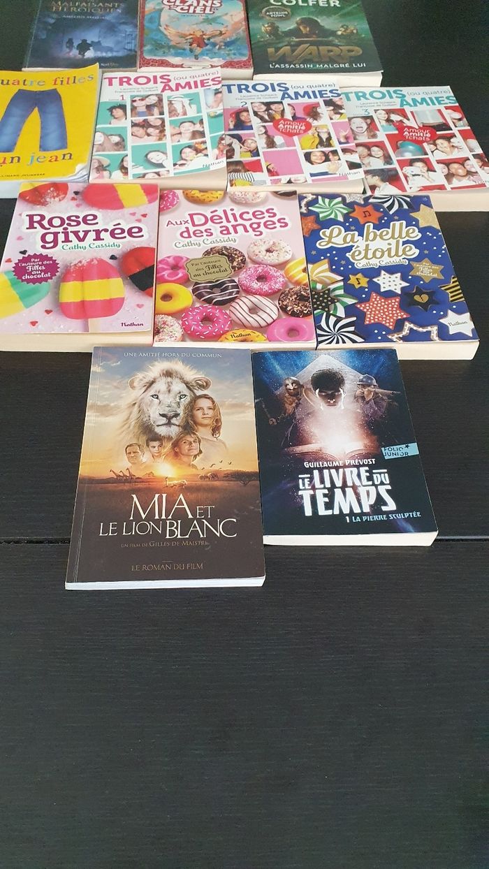 Lot de 12 livres - photo numéro 6