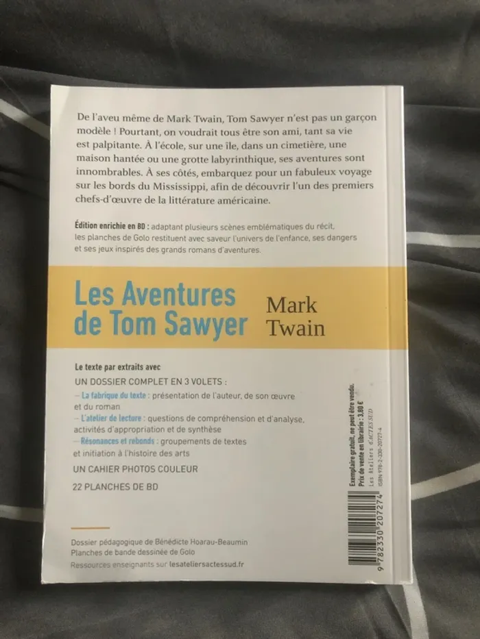 Livre les aventures de Tom Sawyer đ - photo numĂ©ro 3