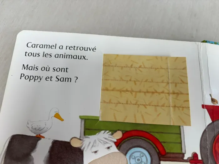 Cache-cache animaux - photo numéro 9