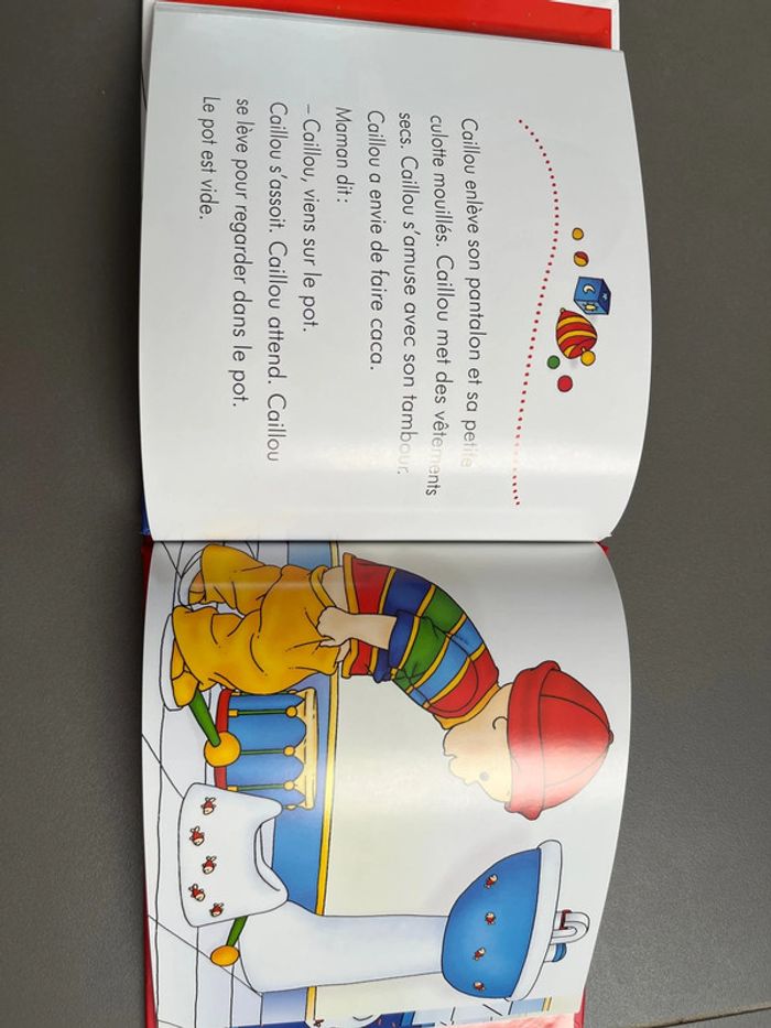 Livre caillou le pot - photo numéro 3