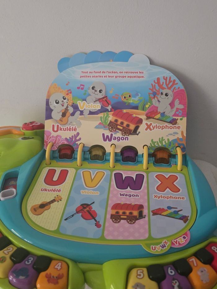 Thaïs la tortue exploratrice. - photo numéro 6