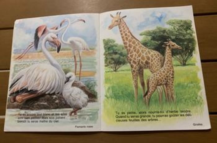 Amis d’ici et d’ailleurs - photo numéro 6