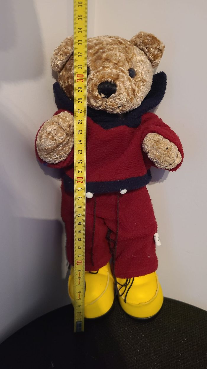 peluche ours - photo numéro 3