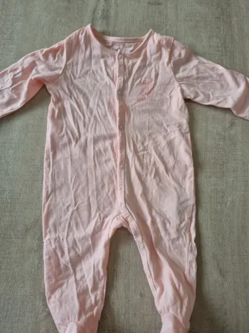 Pyjama rose