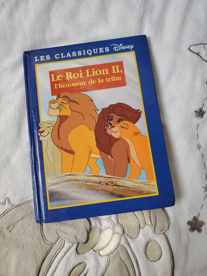 Livre roi lion 2