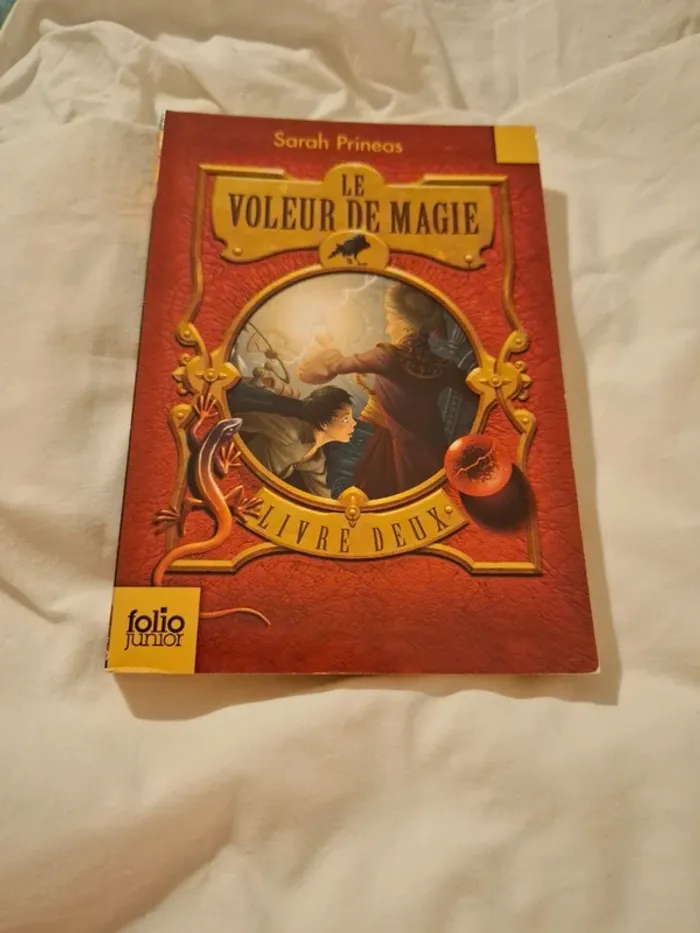 Sarah Prineas Le voleur de magie