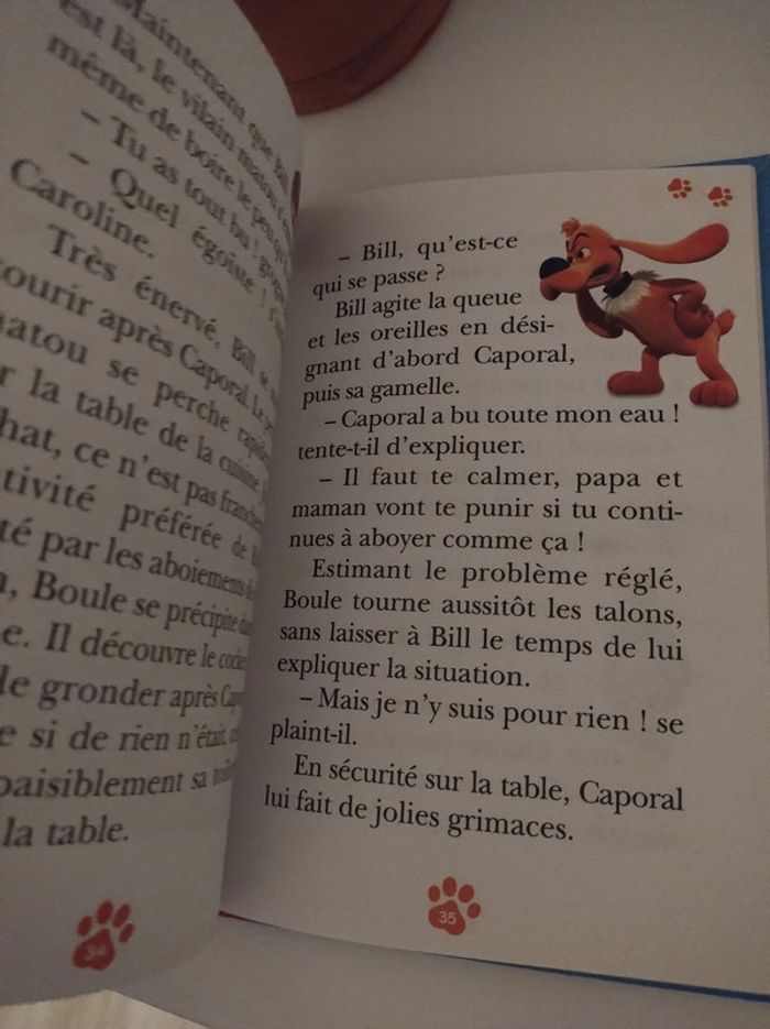 Livre Boule & Bill Tome 1 : comme chien et chat - photo numéro 2