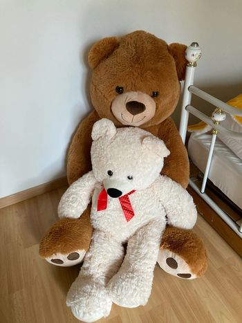 Ourson