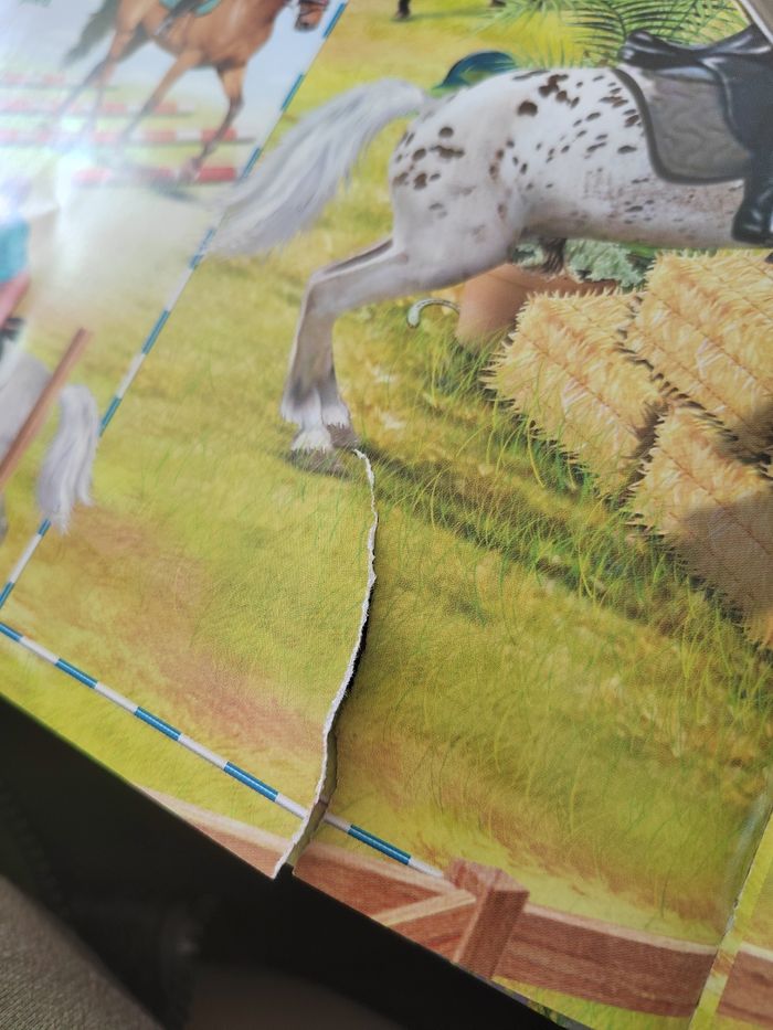 Lot de 2 livres sur les  chevaux pour enfant - photo numéro 9