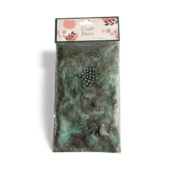 Plumes Noires Vertes Craft & Deco Neuf
