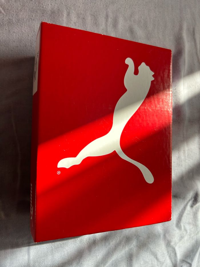 Basket - photo numéro 9