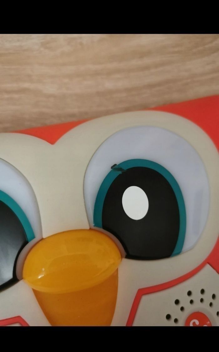 Elisabeth la chouette - photo numéro 3