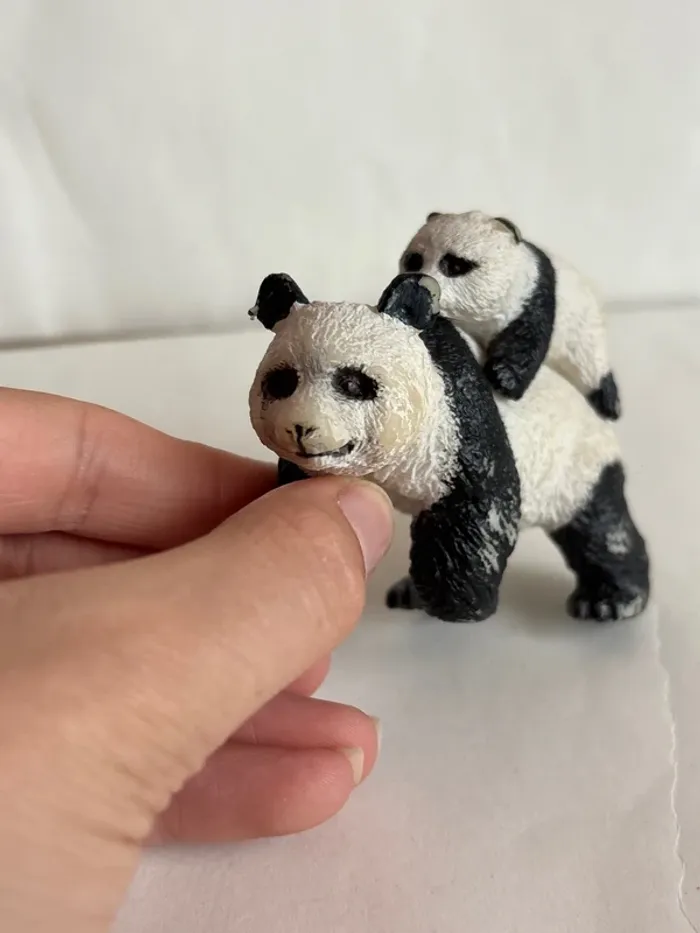 Panda papo - photo numéro 5