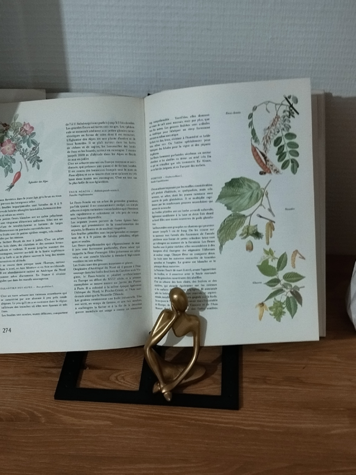 Ouvrage Flore d'Europe édition Gründ 1975 - photo numéro 9