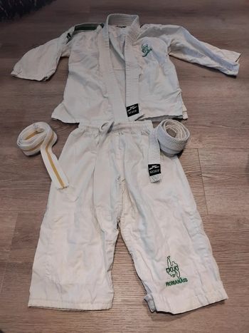 Kimono Dojo Romanais