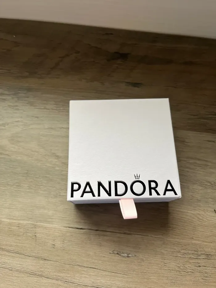 Pandora - photo numéro 2