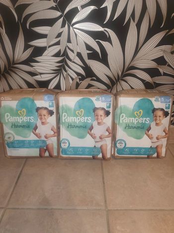 Couches Pampers harmonie T5