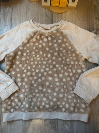 Pull moumoute 8 ans tape à l’œil