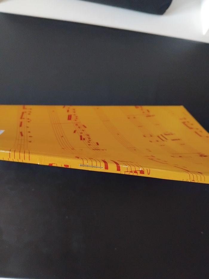 Cahier de musique 48 pages 21×29,7 - photo numéro 5